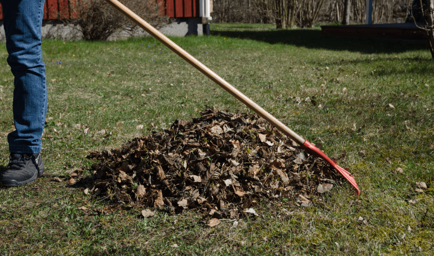 YARD CLEANUP